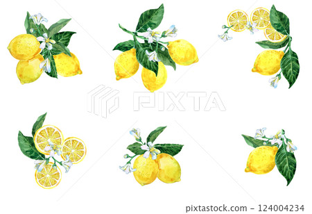 Hand painted watercolor set of Lemon branch. fresh citrus fruits isolated on white background.  124004234