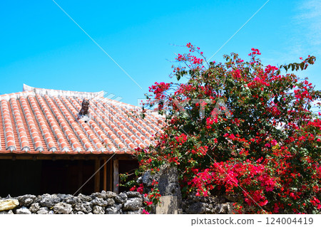 沖繩竹富島 124004419