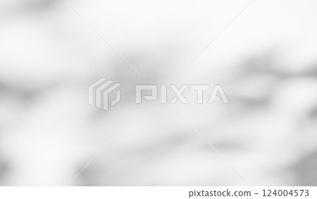 shadow Background Wall Light White Abstract Overlay Plant Backdorp Sunlight Mockup Minimal Gray Summer Black Photography Floor blur Cement Grey Minimal Product Beauty Cosmetic Presentation Template. shadow Background Wall Light White Abstract Overlay Plant Backdorp Sunlight Mockup Minimal Gray Summer Black Photography Floor blur Cement Grey Minimal Product Beauty Cosmetic Presentation Template. 124004573