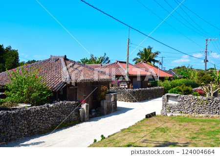 Original landscape of Taketomi Island, Okinawa 124004664