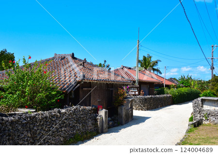 Original landscape of Taketomi Island, Okinawa 124004689