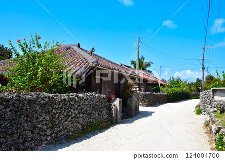 Original landscape of Taketomi Island, Okinawa 124004700