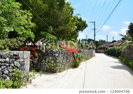 Original landscape of Taketomi Island, Okinawa Original landscape of Taketomi Island, Okinawa 124004786