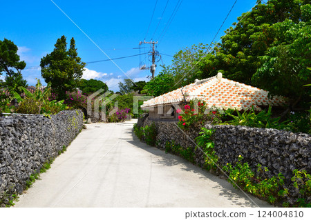 沖繩竹富島的原始景觀 124004810