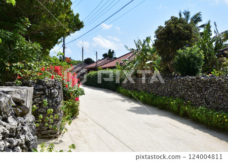 Original landscape of Taketomi Island, Okinawa Original landscape of Taketomi Island, Okinawa 124004811