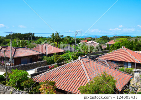 沖繩竹富島的原始景觀 124005433