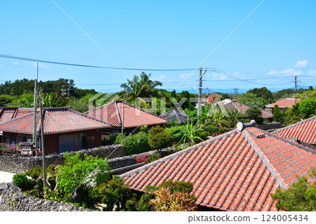 沖繩竹富島的原始景觀 124005434