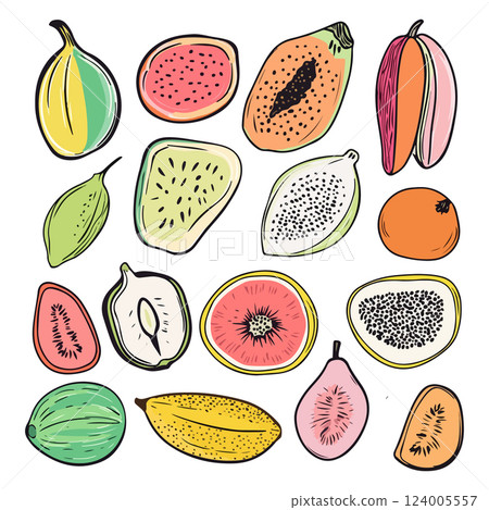 Tropical Fruit Collection 124005557