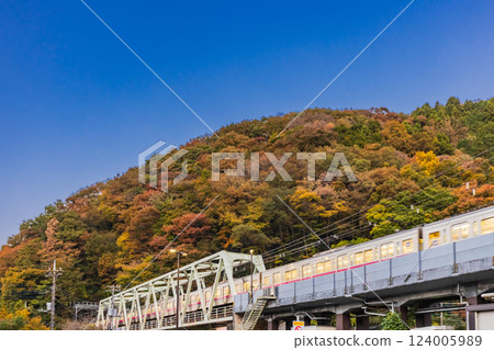 A train running on a steel bridge and autumn leaves on Mount Takao, Akihabara, Tokyo A train running on a steel bridge and autumn leaves on Mount Takao, Akihabara, Tokyo 124005989