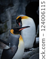 可愛的企鵝臉 124006115