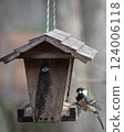  大山雀來到了餵食器 124006118
