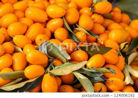 Fresh kumquat fruits for sale on a market stall 124006192