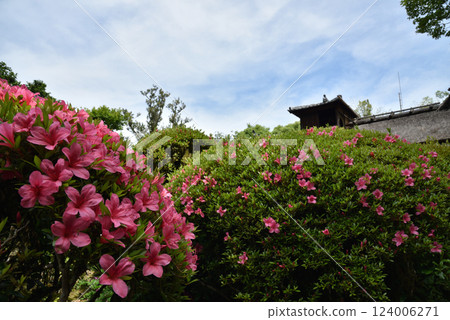 紫泉堂定山寺的春天:五月與松月樓(京都市左京區) 紫泉堂定山寺的春天:五月與松月樓(京都市左京區) 124006271