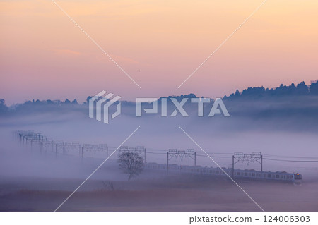 E217 series in the morning mist 124006303