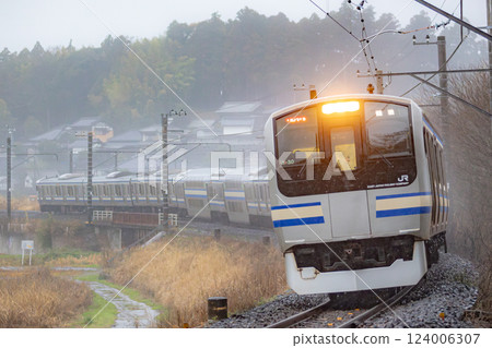 E217 series in heavy rain E217 series in heavy rain 124006307