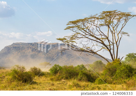 View of Serengeti national park, Tanzania 124006333