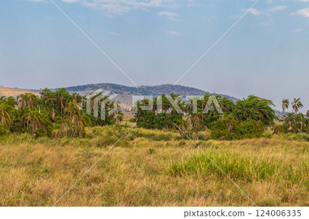 View of Serengeti national park, Tanzania View of Serengeti national park, Tanzania 124006335