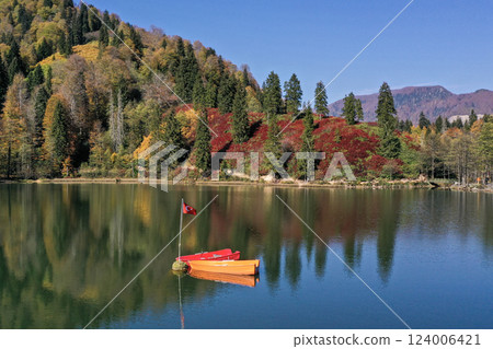 Footage of a forest decorated with autumn colors and their reflections in a lake. 124006421
