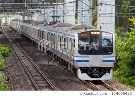 橫須賀線E217系列 橫須賀線E217系列 124006480