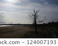 Spring at Gotemba Beach in Tsu City 124007193