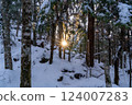 Dawn from the forest 124007283