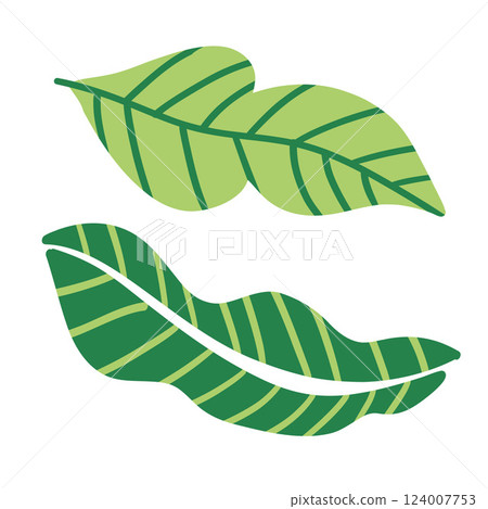 Fresh green tropical leaves with detailed textures. Perfect for nature-inspired designs, eco-friendly themes, and stylish botanical patterns. 124007753
