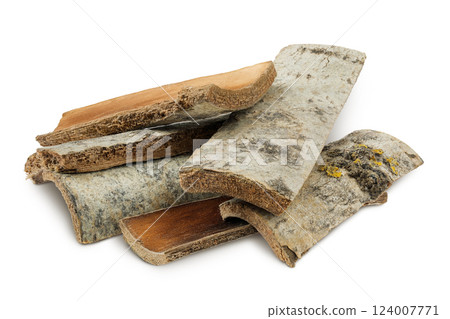 piece of aspen bark isolated on white background. piece of aspen bark isolated on white background. 124007771