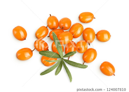 Sea buckthorn. Fresh ripe berry with leaves isolated on white background. Top view. Flat lay Sea buckthorn. Fresh ripe berry with leaves isolated on white background. Top view. Flat lay 124007810