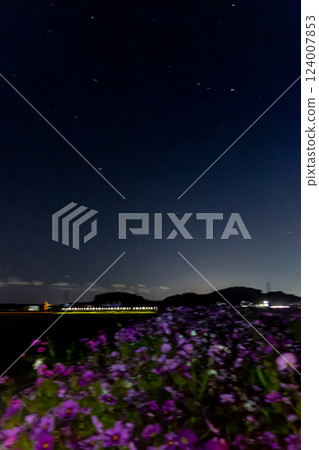 Cosmos at night and E217 series 124007853