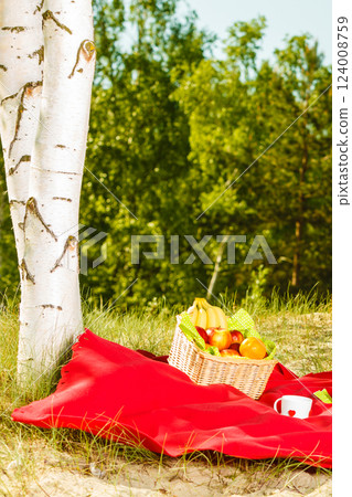 Picnic basket on blanket in woods Picnic basket on blanket in woods 124008759