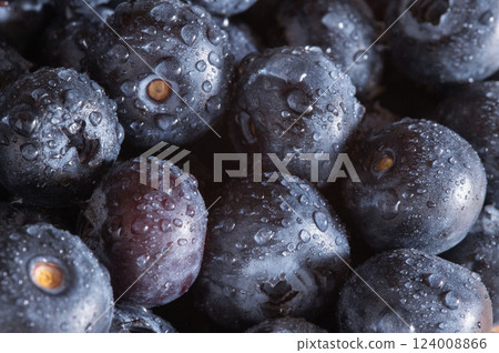 藍莓特寫鏡頭 藍莓特寫鏡頭 124008866