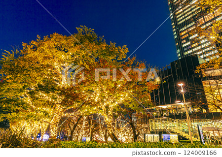 Illuminated Tokyo Midtown Tokyo night view 124009166