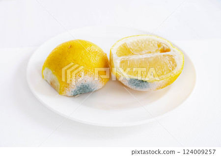 Moldy lemon cut in half Moldy lemon cut in half 124009257