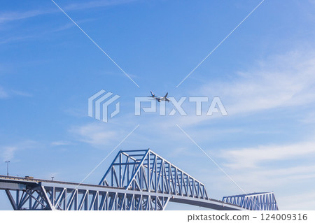 東京金門大橋和飛機 124009316
