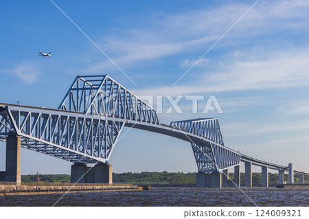 東京金門大橋和飛機 124009321