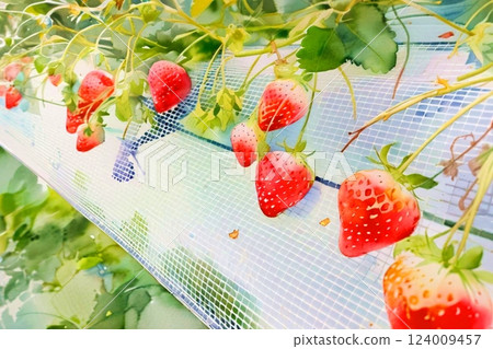 Strawberry Picking (Watercolor) 124009457
