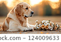 Happy dog in a flower meadow wearing a floral crown during a sunny day enjoying nature's beauty 124009633