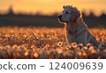 Happy dog in a flower meadow wearing a floral crown during a sunny day enjoying nature's beauty 124009639