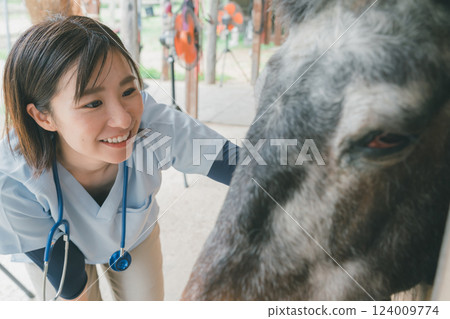 獸醫 馬 馬兒 124009774