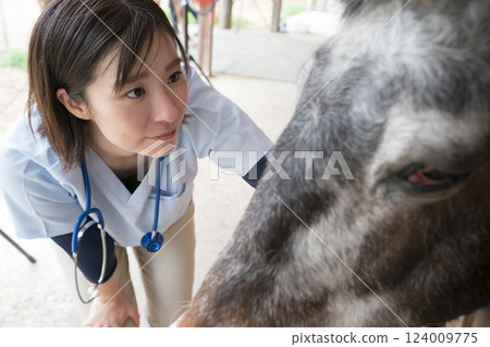veterinarian, veterinary, veterinary surgeon 124009775