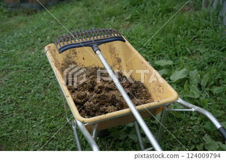 馬 馬兒 排泄物（糞便） 124009794