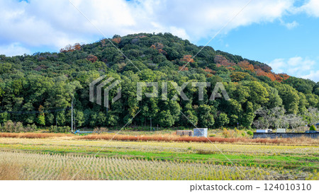 Mount Miminari and the surrounding area of the Fujiwara Palace ruins Mount Miminari December 13, 2023 124010310