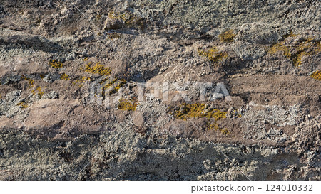 Background of a stone surface with cracks and covered with different types of moss 124010332