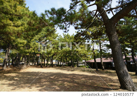海之公園慢跑路線 124010577