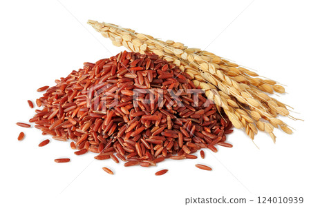 pile red rice with ears isolated on white background 124010939