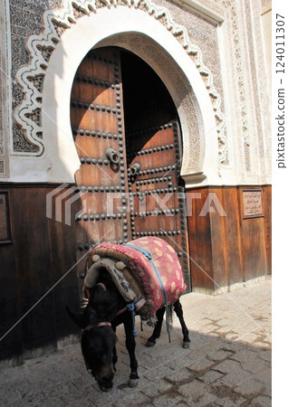 Morocco, Fez, Medina (old town), donkey carrying luggage 124011307