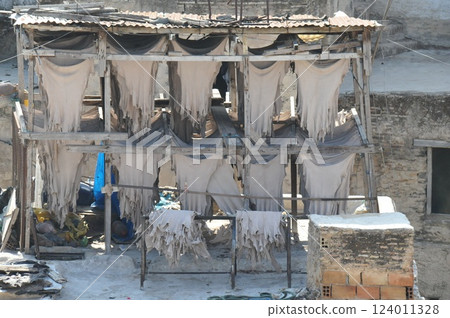 摩洛哥，菲斯，麥地那（舊城區），製革廠，皮革染色車間 124011328