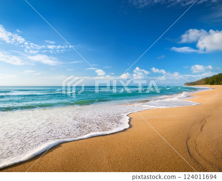 Summer sea scenery 124011694