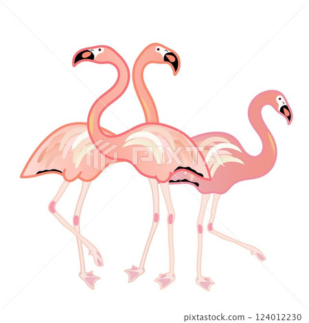 火烈鳥的插圖 火烈鳥的插圖 124012230