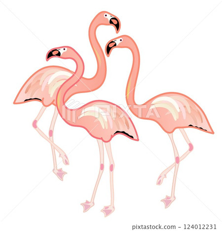 Flamingo illustration 124012231